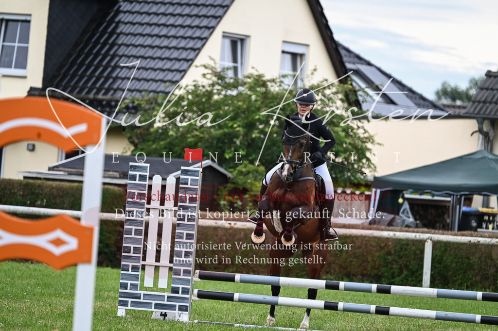 DSC_8427 | Pferde- und Turnierfotografie in Westsachsen. Pferdeportraits, Auftragszeichnungen und intuitive Kunst.