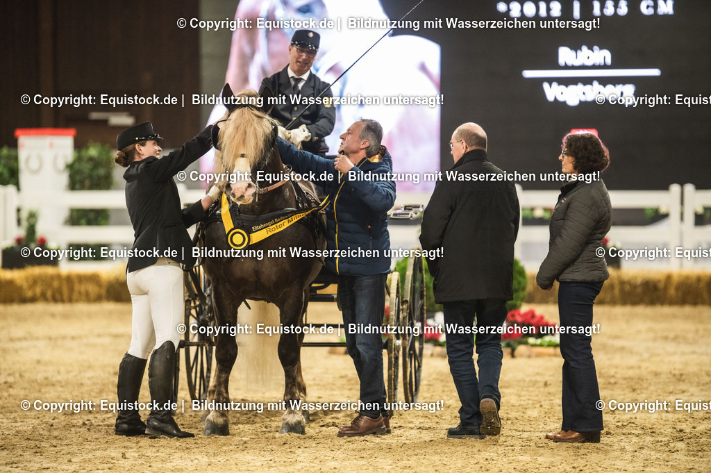 20240302_Hengstvorstellung_Marbach_TOMsPiC_0653-2 | equistock