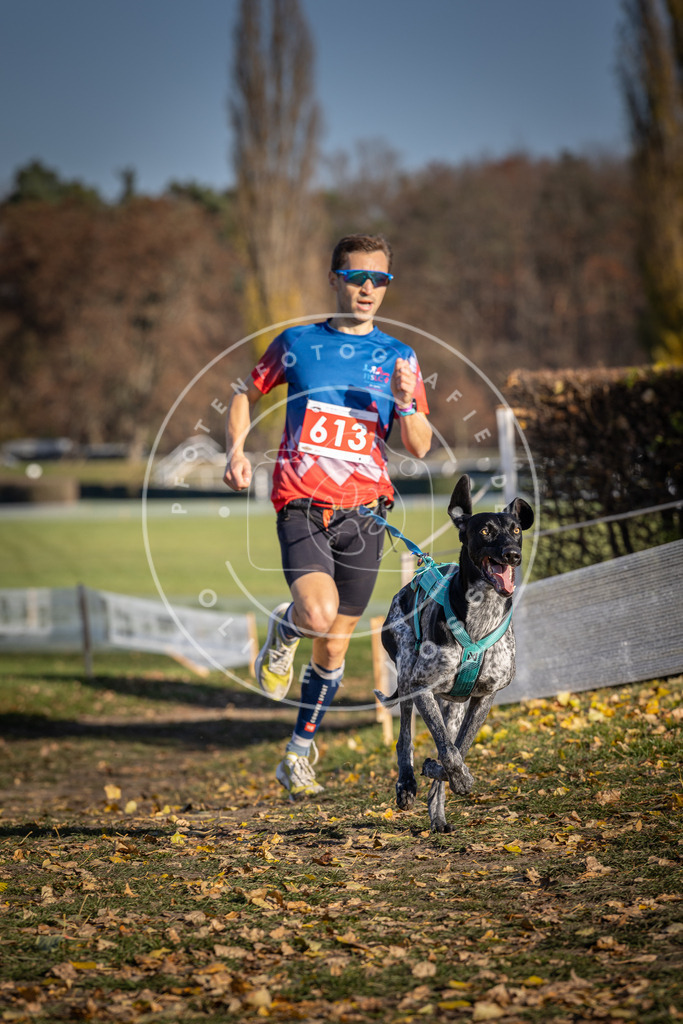 CaniXpix_DV3A9796 | Hundefotografie, Tierfotograf, Pfotenfotografie, Fotoshooting Hund, Hunde Portrait, Hundesport, Hundeportraits, Heideshooting, Hunde, Sportfotograf, Hundefotograf, Turnierhundsport, THS,  - Realisiert mit Pictrs.com