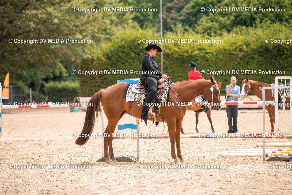 ZS2_7970 | dv-media-shop - Realisiert mit Pictrs.com