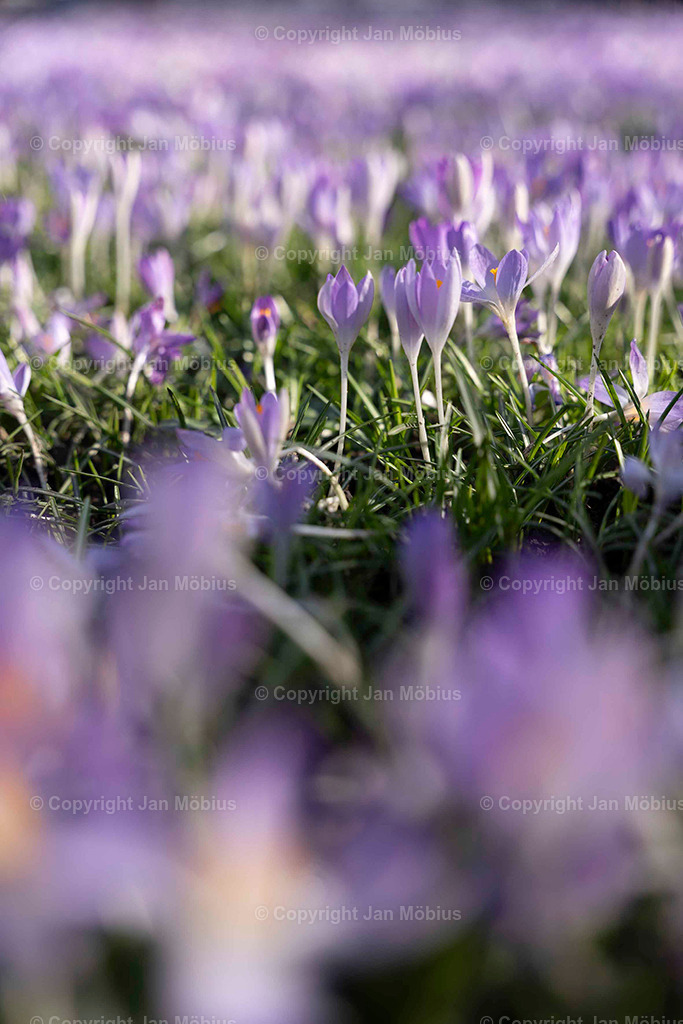 _DSC3536 | Leipzig Wandbilder Drucke Prints Leinwand Stadtmotive Leipzig Fotosdruck Kunstdrucke Bilder Leipzig Stadtansichten Acrylglasbilder Leipzig Wanddeko Fine Art Prints Wandbilder Büro Leipzig Bilder Praxis Zuhause Bilderdruck Poster Posterlounge Kunstdrucke - Realisiert mit Pictrs.com