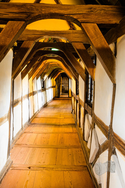 _DSC1925 | Shop für Prints Landschaftsfotografie Sächsische Schweiz Naturfotografie in Thüringen Fotos vom Findlingspark Nochten Kloster Sankt Marienstern Bilder Festung Königstein PanoramaRhododendronpark Kromlau FotogalerSchleswig-Holstein Küstenlandschaften