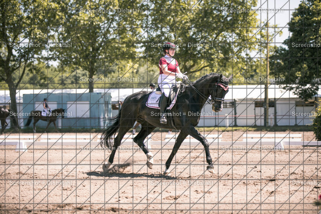 _W6A6152 | ronjaprokoschfotografie - Realisiert mit Pictrs.com