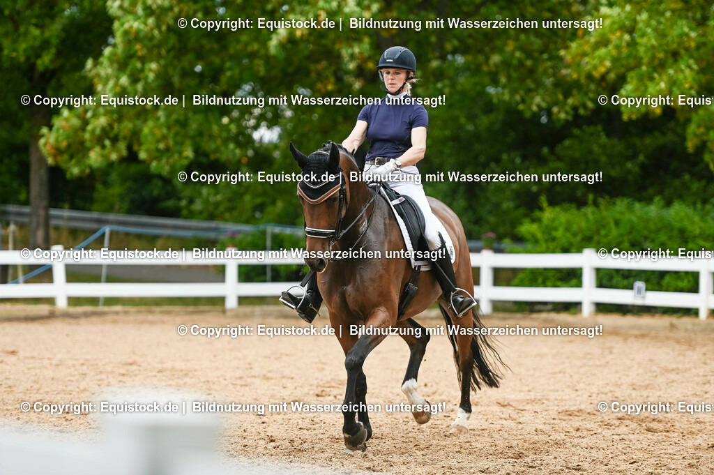 20230716_01_Dressurprüfung Kl.M_0426 | equistock