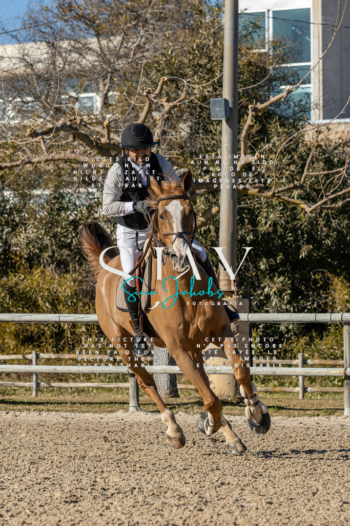 IMG_1709 | s-jay-photography - Realisiert mit Pictrs.com