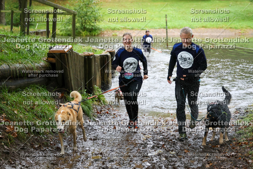 Dog Paparazzi -  SD1026-8471 | Dog Paparazzi Jeanette Grottendiek Fotografie & Videografie - Realisiert mit Pictrs.com