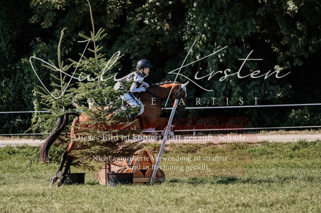 DSC_3458 | Pferde- und Turnierfotografie in Westsachsen. Pferdeportraits, Auftragszeichnungen und intuitive Kunst.