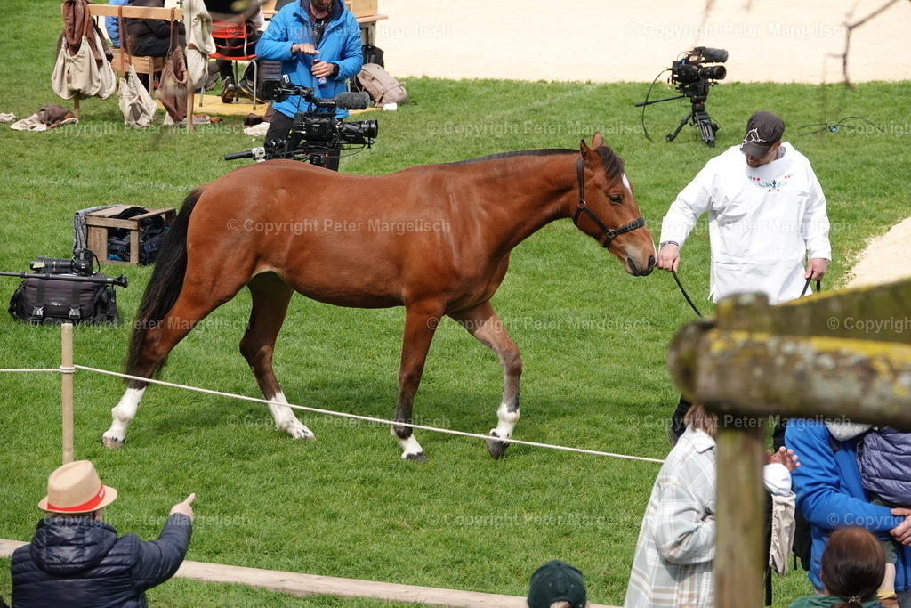 DSC03281 | Schwingen - Realisiert mit Pictrs.com