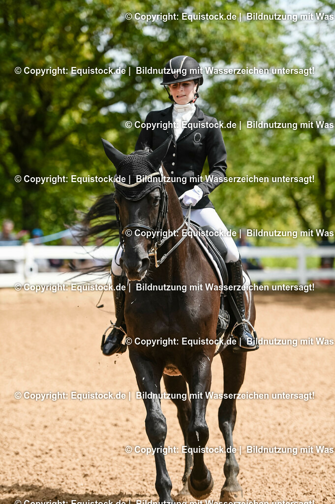 20230716_01_Dressurprüfung Kl.M_0027 | equistock