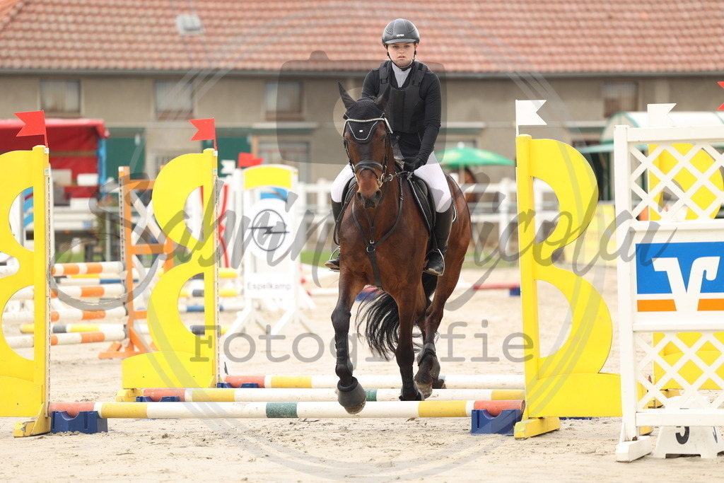 994A8386 | sabrinanicolaifotografie - Realisiert mit Pictrs.com