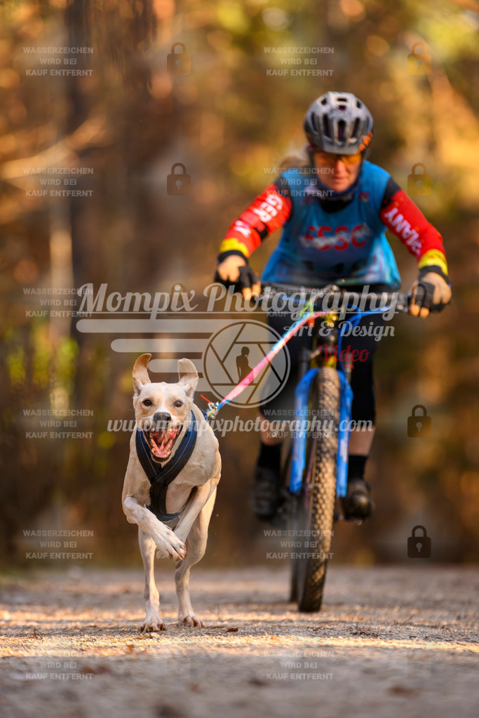 MompixPhotography_DM_AKDM_SO_2025_Bike-134 | PayLife