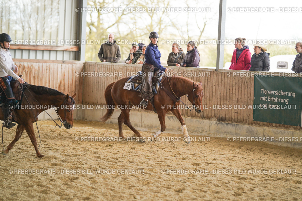 DSC08899 | Pferdegrafie