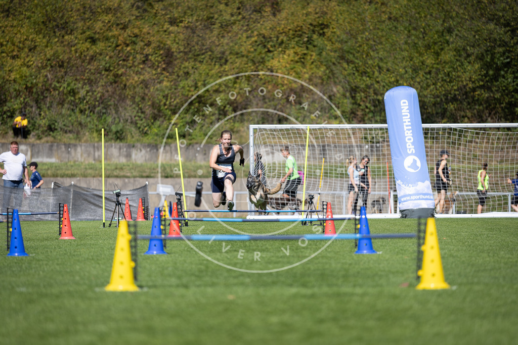Pfotenfotografie_DV3A7295 | Hundefotografie, Tierfotograf, Pfotenfotografie, Fotoshooting Hund, Hunde Portrait, Hundesport, Hundeportraits, Heideshooting, Hunde, Sportfotograf, Hundefotograf, Turnierhundsport, THS,  - Realisiert mit Pictrs.com