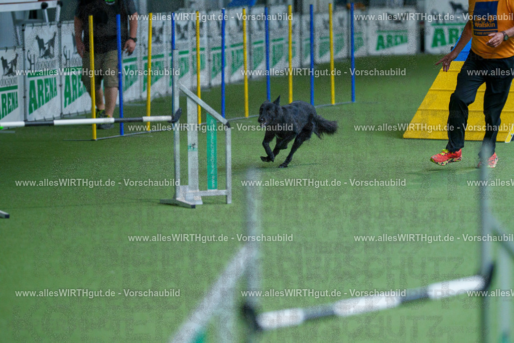 @allesWIRTHgut_Tierfotografie - www.allesWIRTHgut.de - 2604261530-7R505786 | Professionelle Tierfotografie in Mönchengladbach von Daniel Wirth (allesWIRTHgut). Liebevolle & natürliche Bilder von Hunden & Katzen für unvergessliche Erinnerungen.
