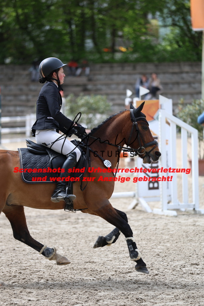 A40A1668 | lmwpictures - Realisiert mit Pictrs.com