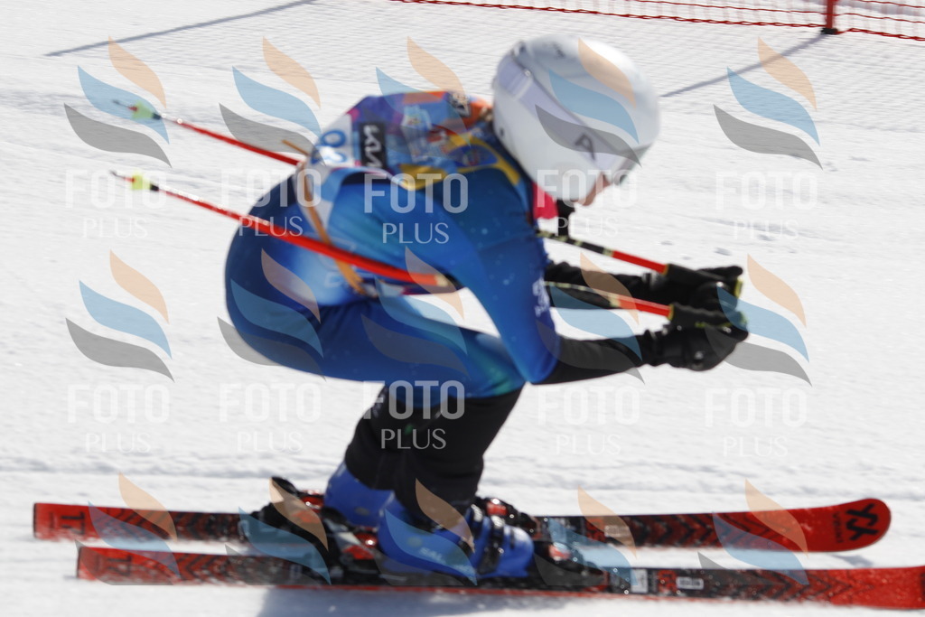 _U3G0223 | holidayphoto