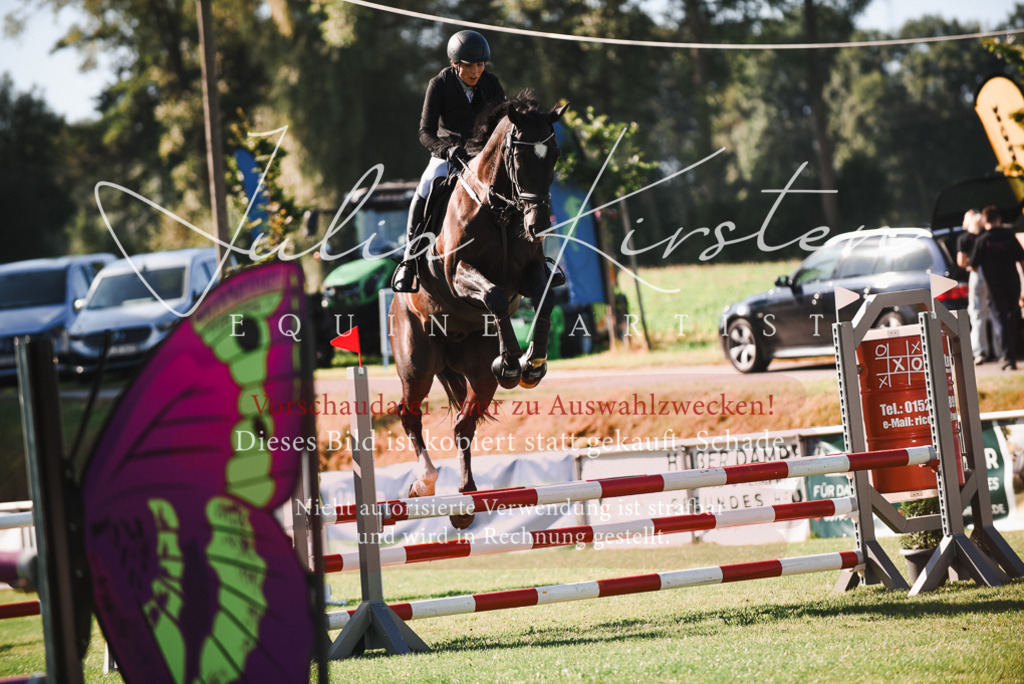 DSC_2354 | Pferde- und Turnierfotografie in Westsachsen. Pferdeportraits, Auftragszeichnungen und intuitive Kunst.