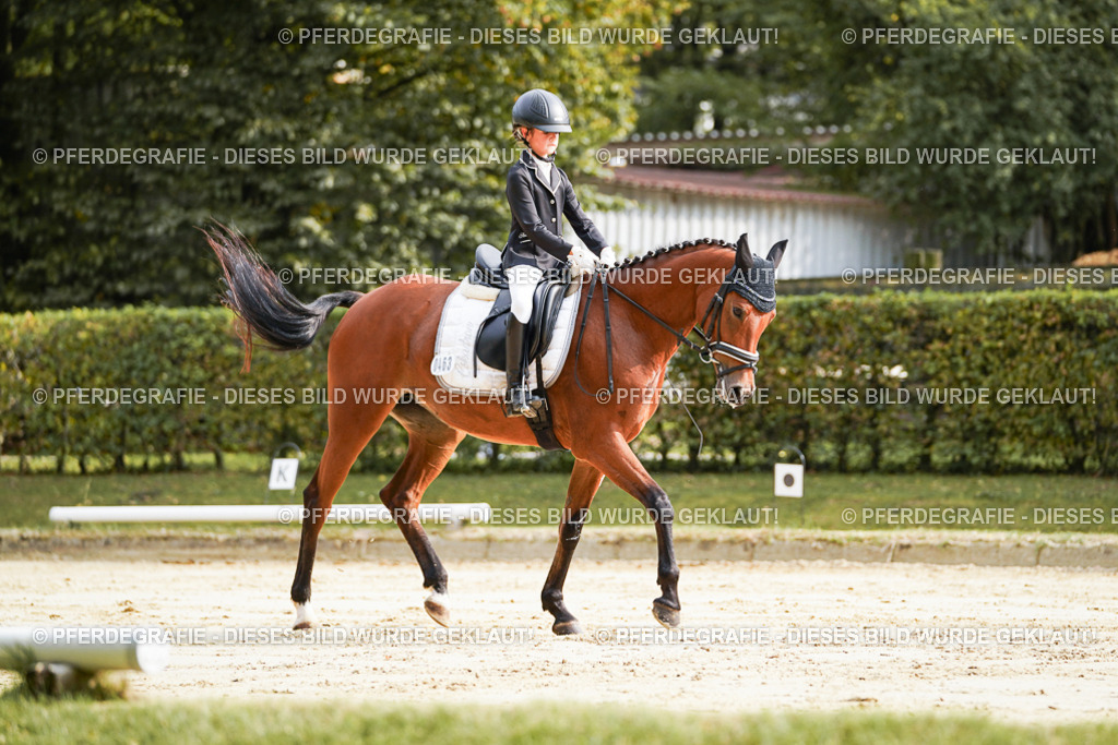 DSC03973 | Pferdegrafie