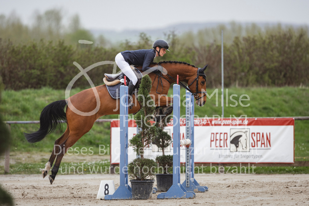 240330_Fruehlingsfest_Stil-A2-2-735 | Deine schönsten Turniermomente als professionelle Fotos! Entdecke hochwertige Pferdesport-Fotografie im Online-Shop. Jetzt Fotos finden & bestellen!