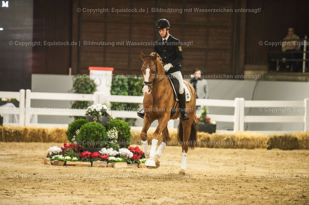 20240302_Hengstvorstellung_Marbach_TOMsPiC_0543 | equistock