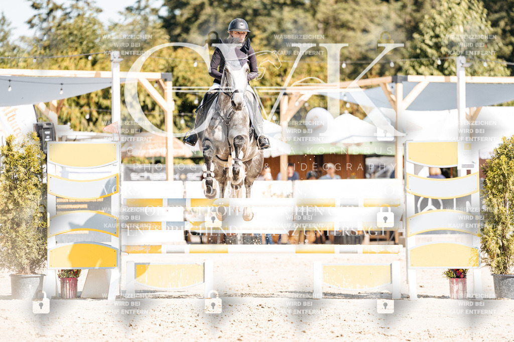 CK902642 | Turnierfotografie Pferdefotografie Trier Rheinland-Pfalz Pferdesport Reitsport Tierfotografie Sportfotografie Pferdevideo Pferdevideografie Equestrianvideography equestrianphotography  - Realisiert mit Pictrs.com