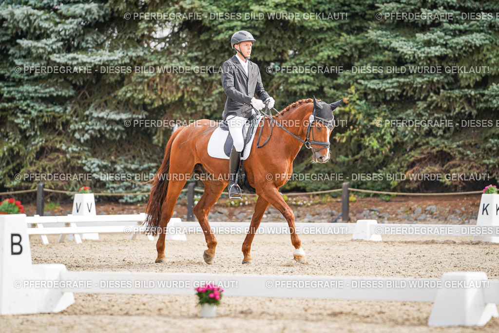 DSC01598 | Pferdegrafie