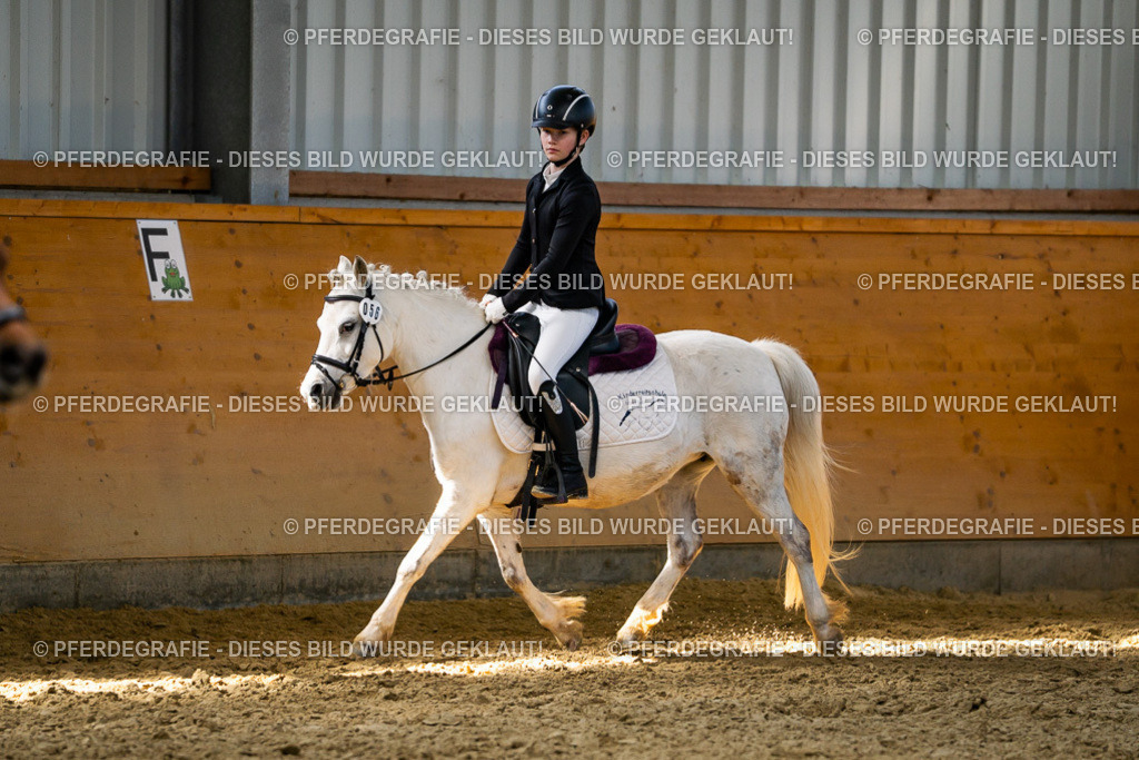 DSC02286 | Pferdegrafie