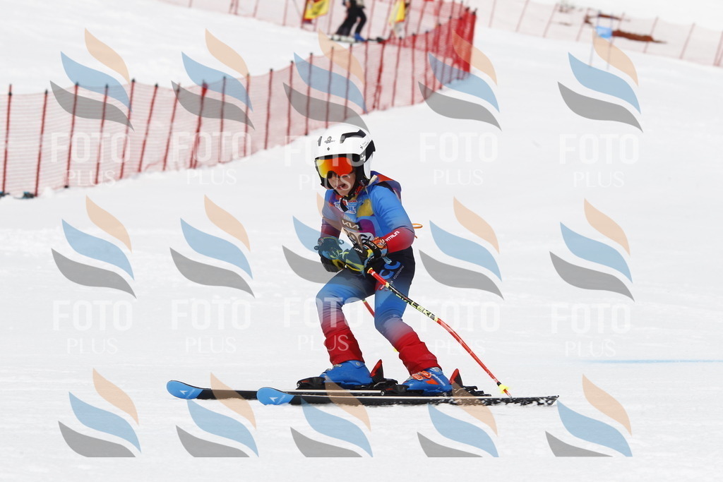 _U3G7394 | holidayphoto