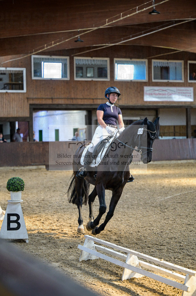 Reitturnier Voxtrup | Entdecke hochwertige Reitturnierfotos von Foto Oger. Professionell, emotional und authentisch – jetzt Lieblingsmomente im Shop bestellen.Deutschlandweite Turnierfotografie. - Realisiert mit Pictrs.com