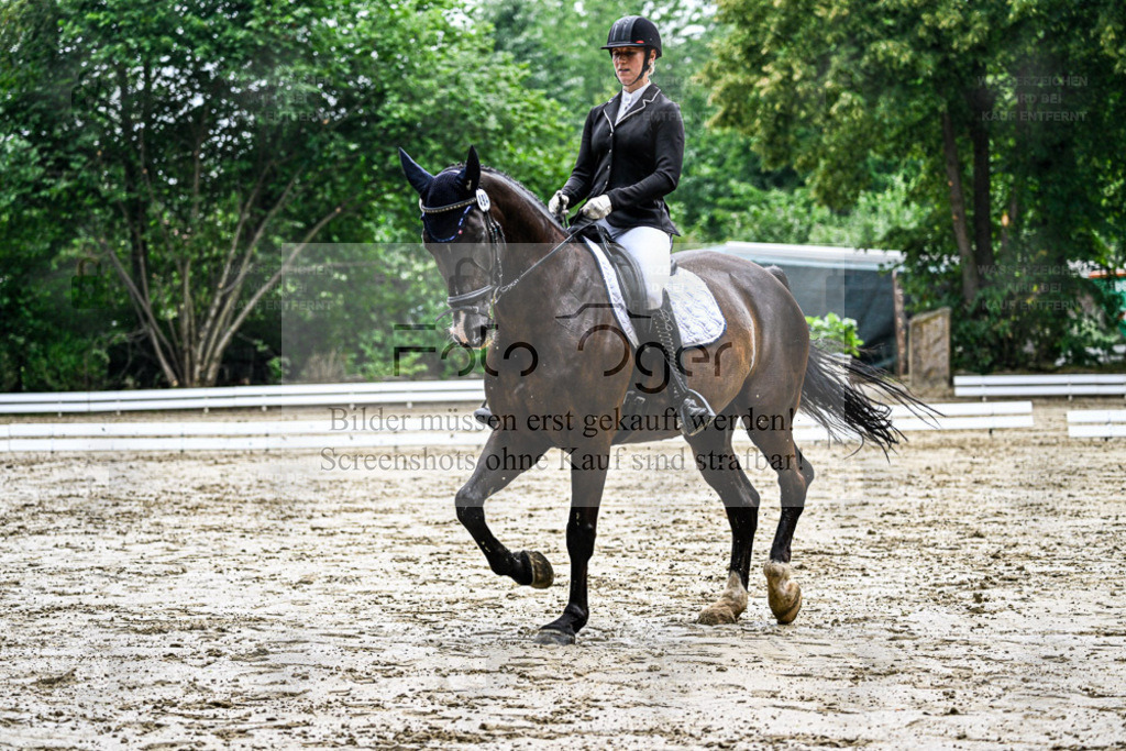 Bissendorfer Reitertage | Entdecke hochwertige Reitturnierfotos von Foto Oger. Professionell, emotional und authentisch – jetzt Lieblingsmomente im Shop bestellen. - Realisiert mit Pictrs.com