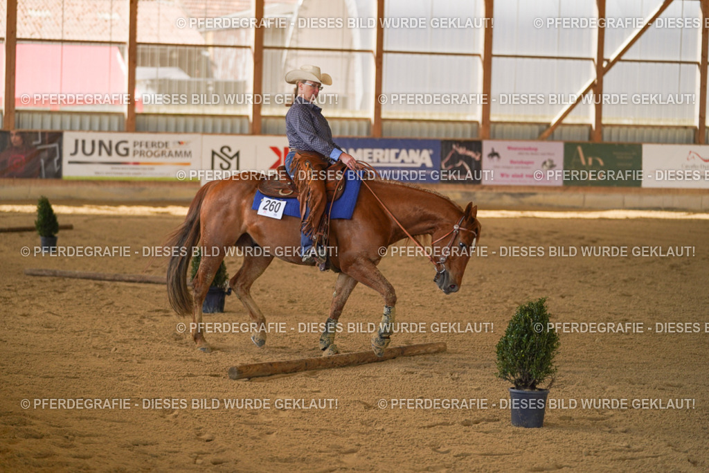 DSC07239 | Pferdegrafie