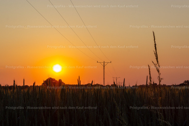 Sonnenuntergang über dem Feld | Warmer Sonnenuntergang über einer ruhigen Feldlandschaft mit dunklen Silhouetten und feinen Stromleitungen am Horizont. Das intensive Abendlicht und die reduzierte Komposition erzeugen eine stille, ländliche und grafische Stimmung. - Realisiert mit Pictrs.com