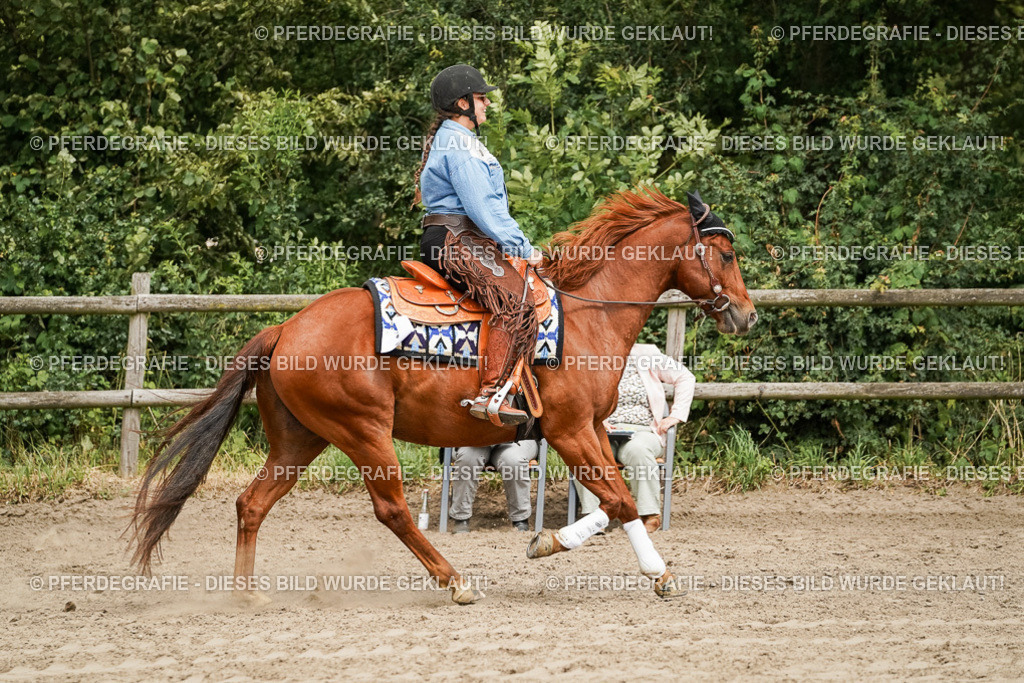 DSC00158 | Pferdegrafie