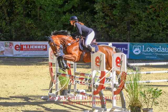 DKP43035 | Turniersportfotografie; Pferdefotografie; Dressurfotografie