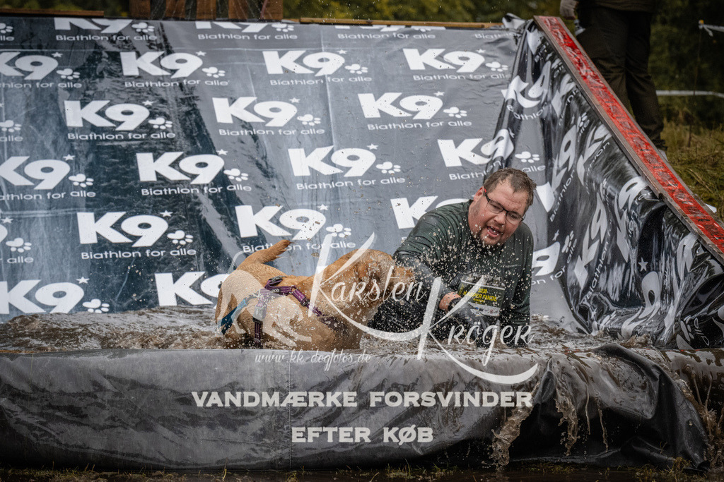 1113_ZZ92281 | kk-dogfotos