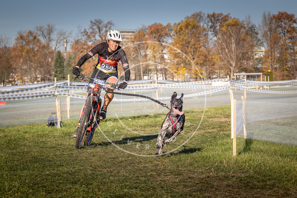 CaniXpix_0L8A4915 | Hundefotografie, Tierfotograf, Pfotenfotografie, Fotoshooting Hund, Hunde Portrait, Hundesport, Hundeportraits, Heideshooting, Hunde, Sportfotograf, Hundefotograf, Turnierhundsport, THS,  - Realisiert mit Pictrs.com