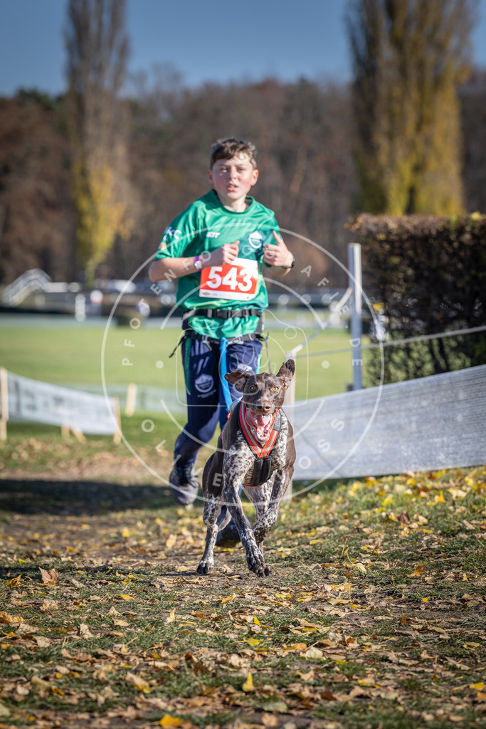 CaniXpix_DV3A8397 | Hundefotografie, Tierfotograf, Pfotenfotografie, Fotoshooting Hund, Hunde Portrait, Hundesport, Hundeportraits, Heideshooting, Hunde, Sportfotograf, Hundefotograf, Turnierhundsport, THS,  - Realisiert mit Pictrs.com