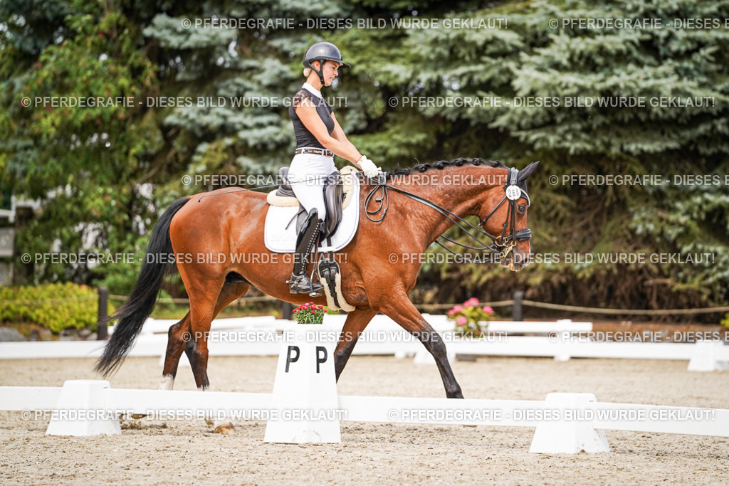 DSC05956 | Pferdegrafie