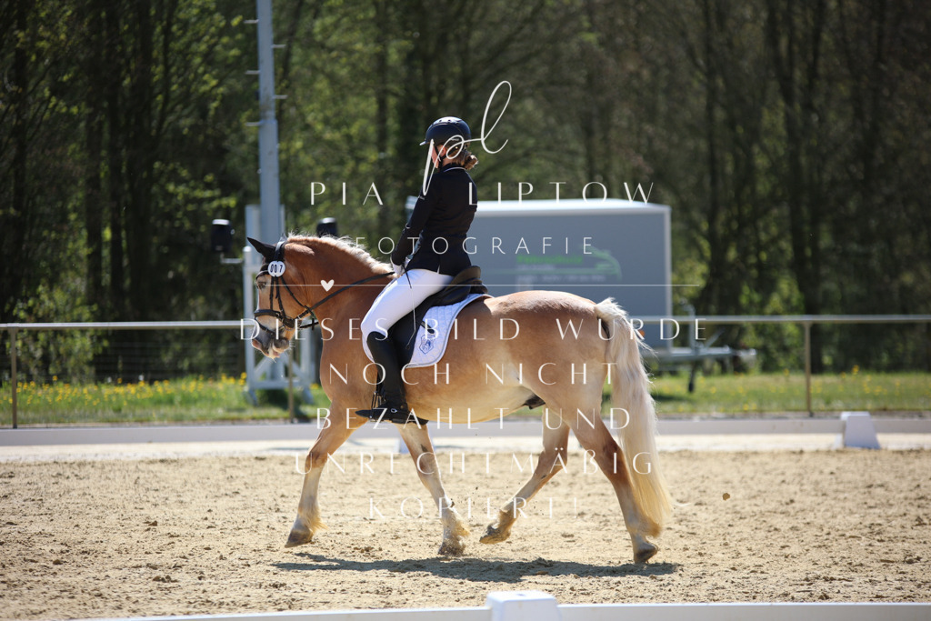 IMGT0396 | pl-fotografie