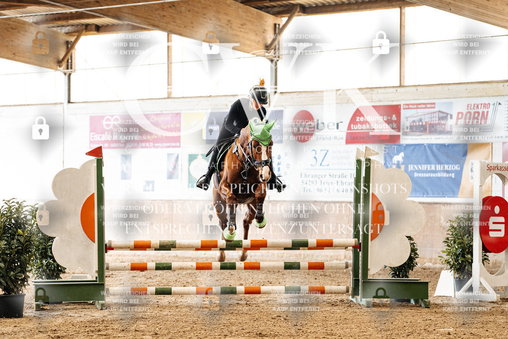 CK905472 | Turnierfotografie Pferdefotografie Trier Rheinland-Pfalz Pferdesport Reitsport Tierfotografie Sportfotografie Pferdevideo Pferdevideografie Equestrianvideography equestrianphotography  - Realized with Pictrs.com