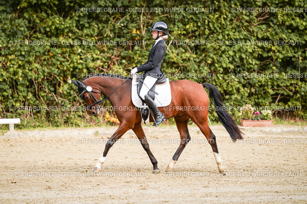 DSC09537 | Pferdegrafie