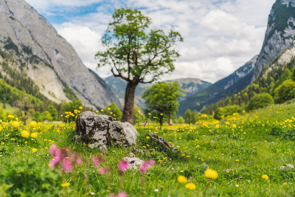 Der Ahornboden im Karwendel im Frühling | Der Ahornboden im Karwendel im Frühling - Realisiert mit Pictrs.com