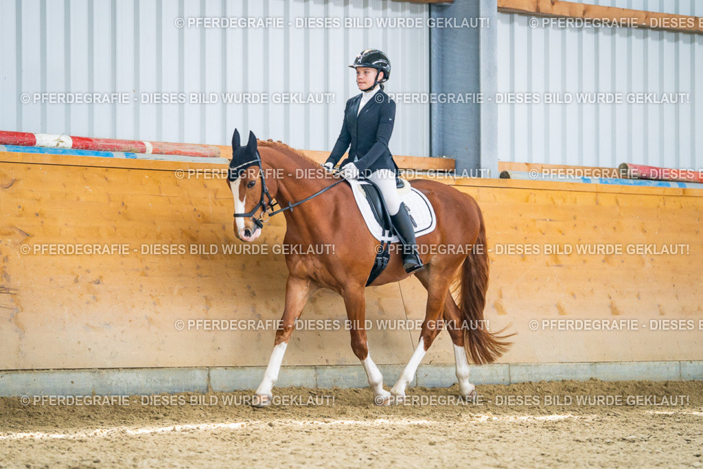 DSC04656 | Pferdegrafie