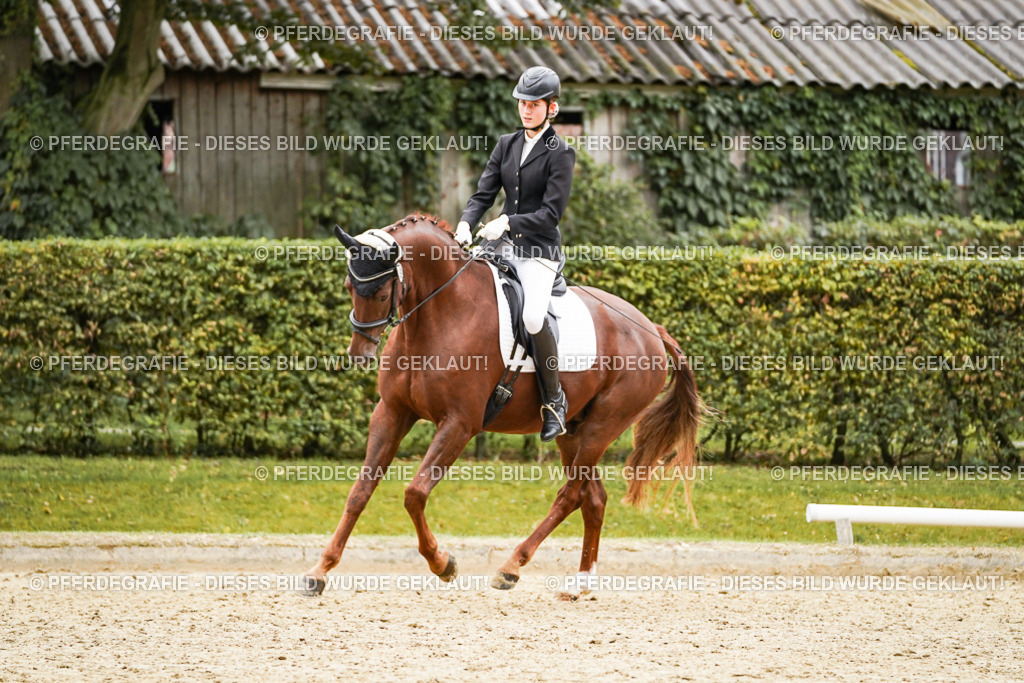 DSC08679 | Pferdegrafie