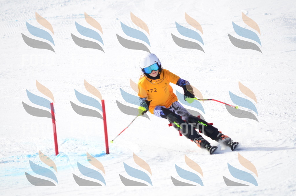 C7913 | holidayphoto