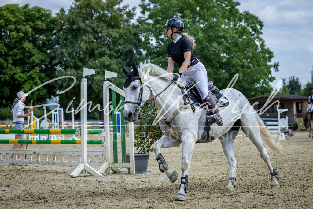 20260704-_3LI1060 | Tierfotografie Pferde, Hunde, Katzen, Haustiere.
Turnierfotografie Reitturniere, Reiten, Springreiten, Dressur in Hanau, dem Main-Kinzig-Kreis und dem Rhein-Main- Gebiet um Frankfurt