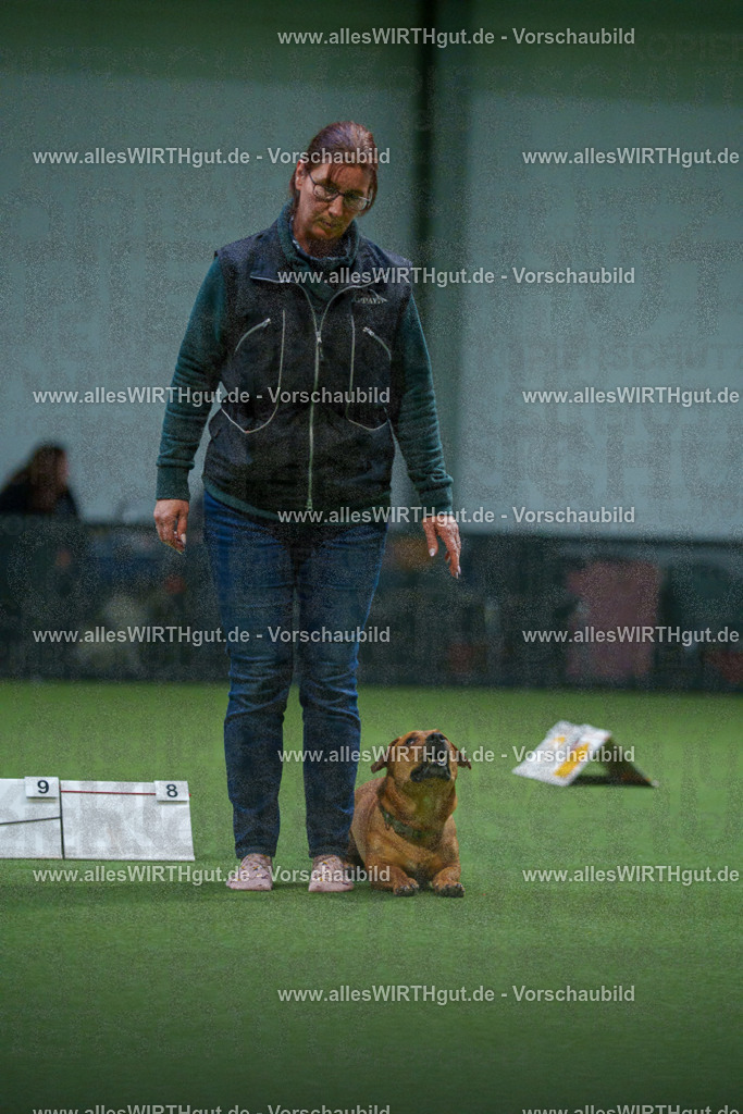 7R502374 | Professionelle Tierfotografie in Mönchengladbach von Daniel Wirth (allesWIRTHgut). Liebevolle & natürliche Bilder von Hunden & Katzen für unvergessliche Erinnerungen.