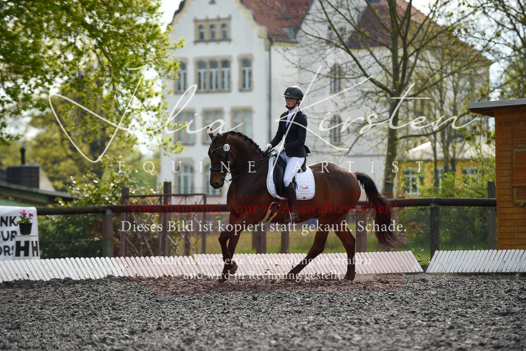 20230513_JK-Röhrsdorf-17-071 | Pferde- und Turnierfotografie in Westsachsen. Pferdeportraits, Auftragszeichnungen und intuitive Kunst.