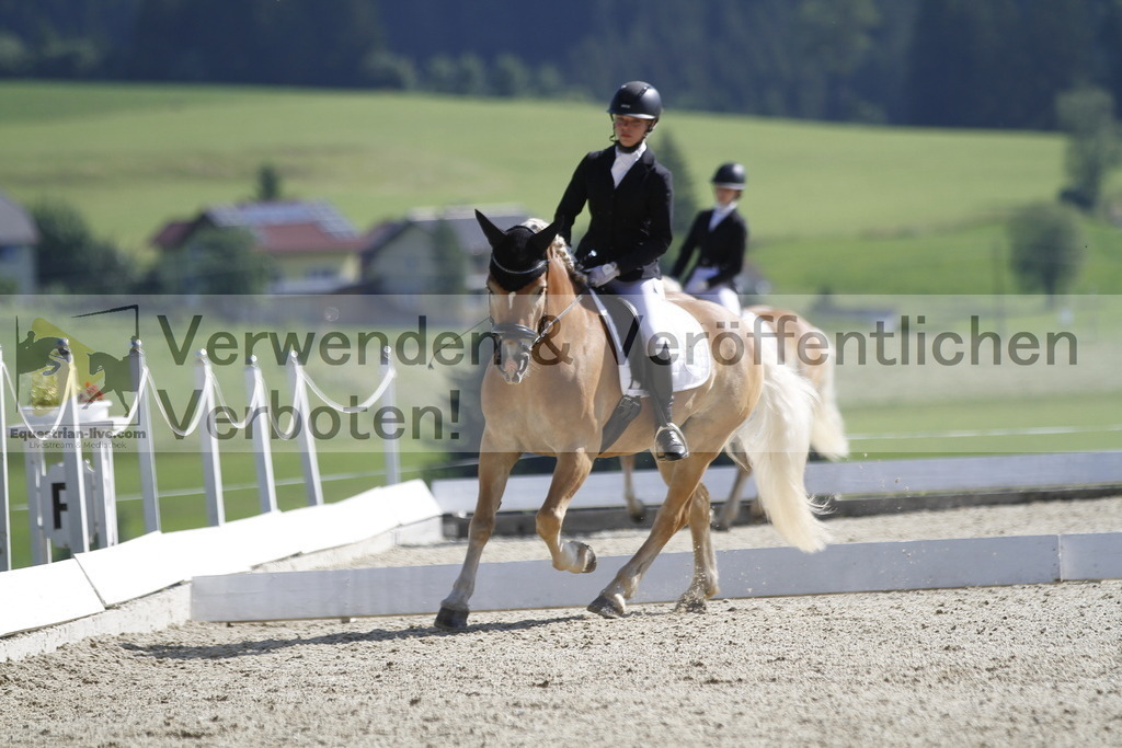 _MG_6177 | equestrian-live-com