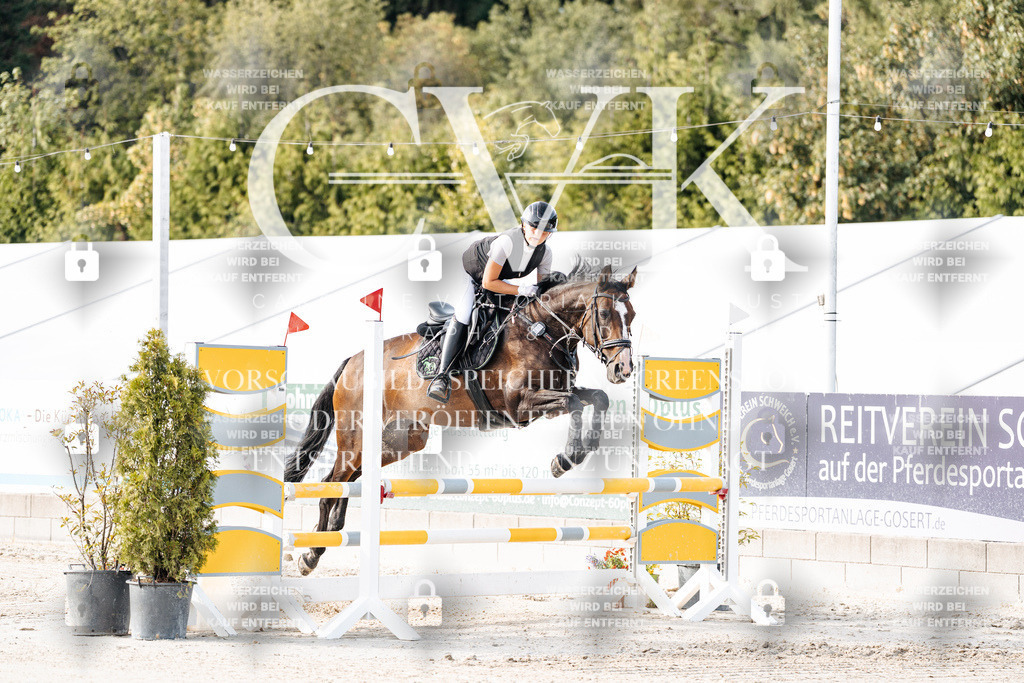 CK906130 | Turnierfotografie Pferdefotografie Trier Rheinland-Pfalz Pferdesport Reitsport Tierfotografie Sportfotografie Pferdevideo Pferdevideografie Equestrianvideography equestrianphotography  - Realisiert mit Pictrs.com